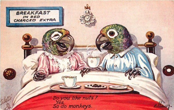 An odd, nutty vintage postcard
