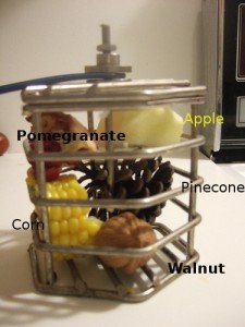 Nut Cage idea from Foraging for Parrots