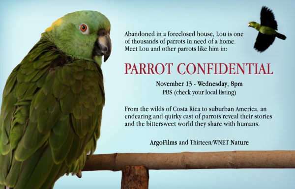 Parrot Confidential Announcement